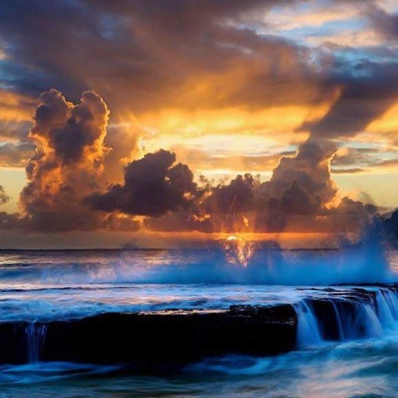 Clearance: Everything Must Go. Make An Offer. Bundle & Save. Buy Now! - Picture 14 of 17